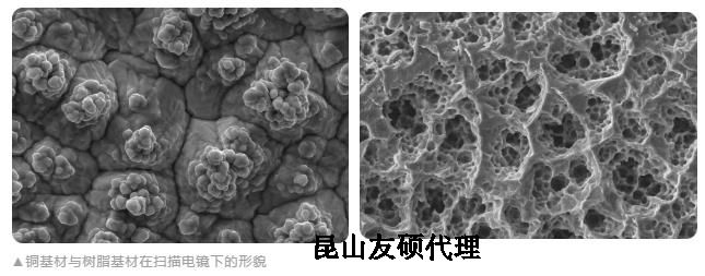 安康蔡司安康扫描电镜